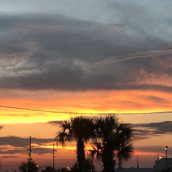 Meet your Posher, Susanna - Picture 2 of 2